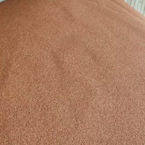 红樱子高粱