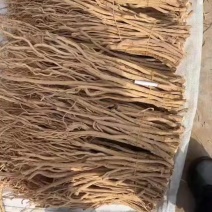 防风选货甜口去头