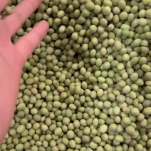 东北青大豆，双青豆8.0以上精选