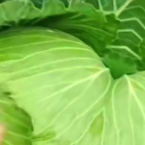 802翠包，简阳出货