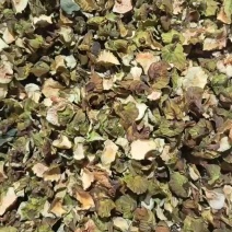 2025年无花果果柄茶干