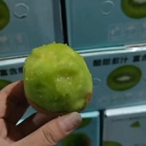 【海沃德猕猴桃】绿心可一件代发，外贸出口，电商