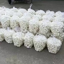 腌萝卜干的小白萝卜