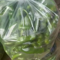 厚皮辣椒