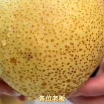 酥梨正在出售中