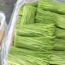 精品精品白生生嫩汪汪像18岁的小姑娘一样掐出水来