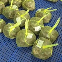 江苏高淳精品大闸蟹批发