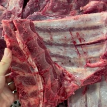 母猪无颈前排