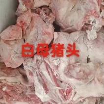 母猪头