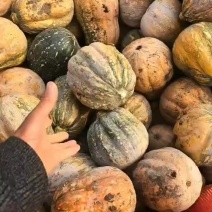 花生南瓜，诚信经营，产地直发，量大从优