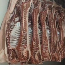 新鲜猪肉淮阳四通镇八达冷鲜肉