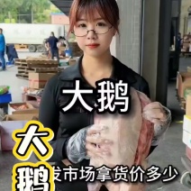 散养大鹅，质量保证，适用熟食店，铁锅炖，饭店等餐饮店
