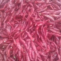三鹰椒