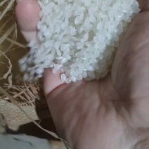 东北珍珠大米