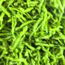 产地直销，价钱合理，物美价廉