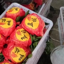 丑橘大量供应嗯，新老客户前来对接