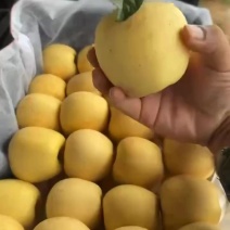 维纳斯苹果产地纯甜口带香味的苹果电商社区团购
