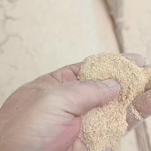 1.2除尘糠现货可发全国