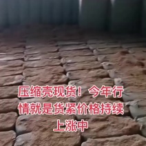 压缩稻壳现货出全国养殖栏垫种殖户雷竹羊肚菌保温生物发酵肥