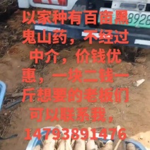 本人种有百亩广西黑鬼山药价钱优惠，想要的老板们可以联系我