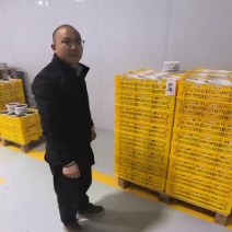 云南蓝莓产地直发，各种品种，各种规格，各种包装都有