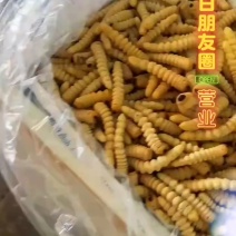 今年新季柴虫。