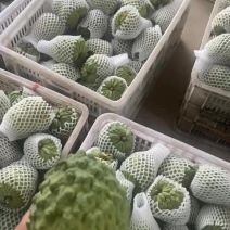 凤梨释迦，需要的老板联系