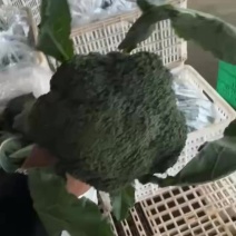 西兰花