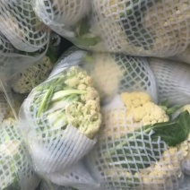 散花菜走量
