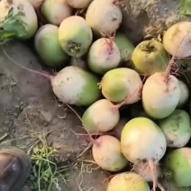 精品心里美