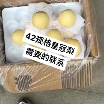 皇冠梨，42，48，60规格大量有货