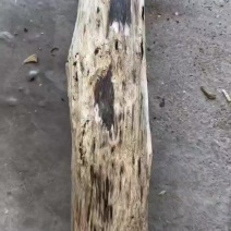 沉香油水饱满