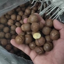 夏威夷果干货对接电商地摊商超价格便宜欢迎咨询