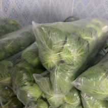 圆包菜***********