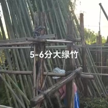 5-6公分，大绿竹
