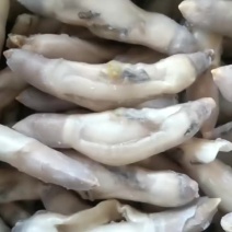 蛏子肉