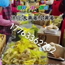供应鲜姜块头大耐储存、代存提供一比一配资，可代加工