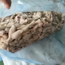 厂家牛蛙小蛙20吨左右