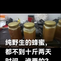 纯野生蜂蜜