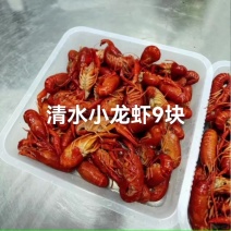 液氮小龙虾液氮清水小龙虾，液氮锁鲜小龙虾中