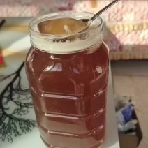 河北承德雾灵山一年只取一次的土蜂百花蜜