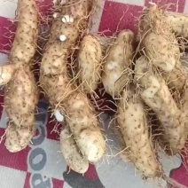 潮汕特产