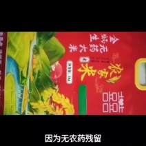 不打除草剂不打杀虫剂有益生物吃害虫人工拔草的健康长寿大米