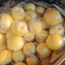 杨月遵化铁厂雪花梨
