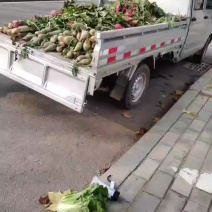 红心，大红袍水萝卜