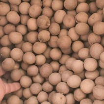 桂圆干