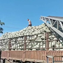 羊粪