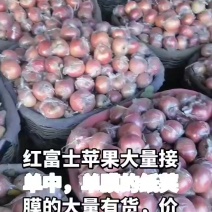 红富士苹果