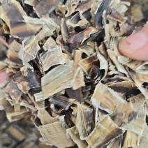 地龙干无土全开蚯蚓干地龙段无土地龙个段各种规格