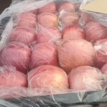 山西冰糖心苹果